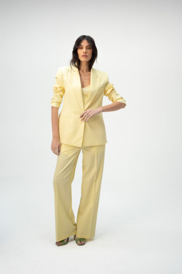 מכנסיים פאלאצו/  HIGH-WAIST STRAIGH- LEG LINEN PANTS