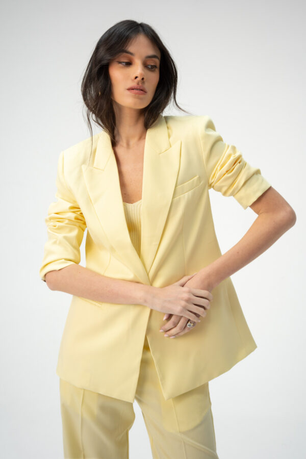 מכנסיים פאלאצו/  HIGH-WAIST STRAIGH- LEG LINEN PANTS